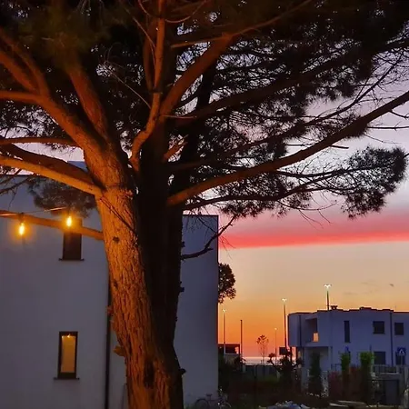 Holidays To Remember-sea Lovers